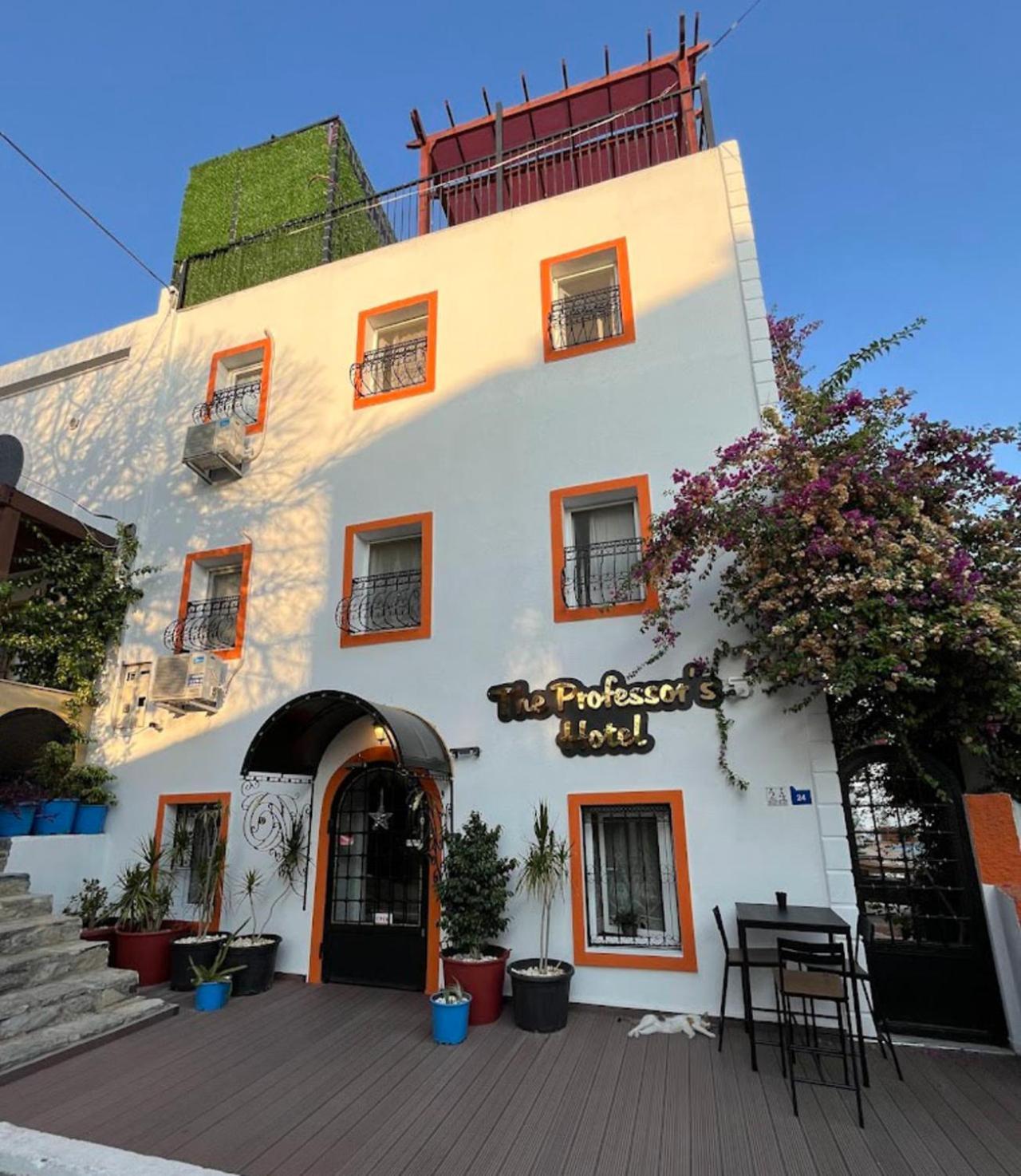 The Professor'S Hotel Αλικαρνασσός Εξωτερικό φωτογραφία